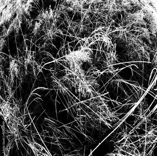 Everything intertwined as after a windbreak, and then it turned out to be frozen
