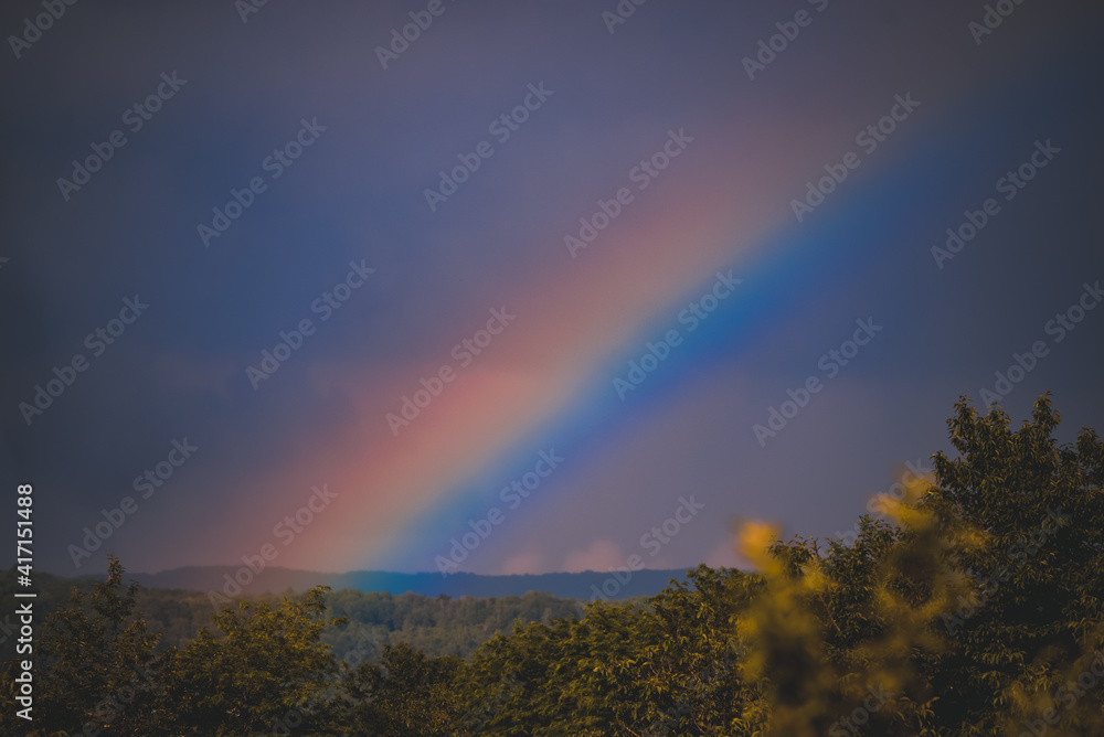 an amazingly bright rainbow formed over the forest after a summer storm an amazingly bright rainbow formed over the forest after a summer storm