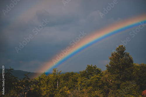 an amazingly bright rainbow formed over the forest after a summer storm