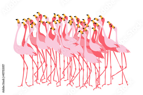 Stand of pink flamingos. Flock of birds. Simple flat style.