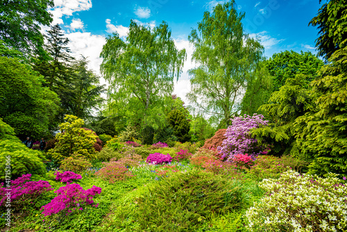 Beautiful Garden with blooming trees during spring time