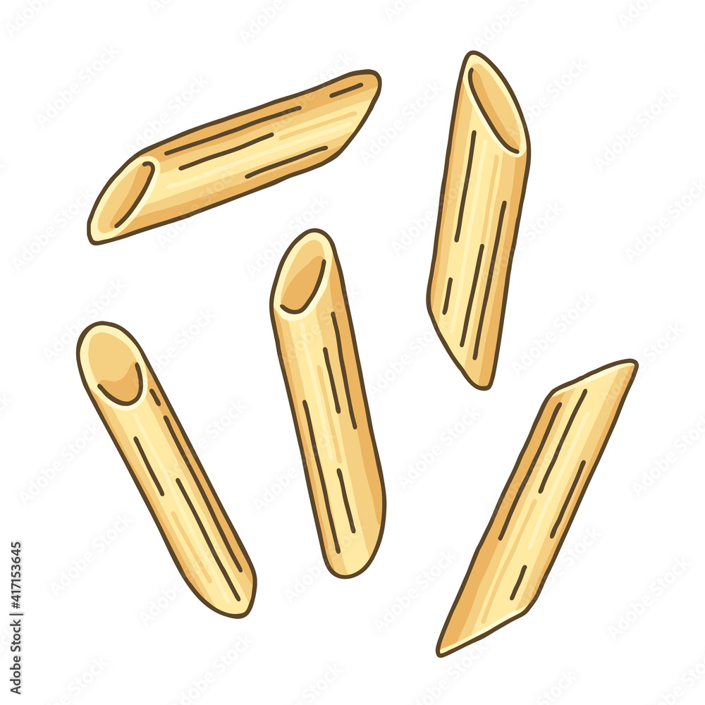 Penne rigate. Cylinder-shaped pasta. Vector illustration of Italian pasta on white background. Pasta shapes and types.