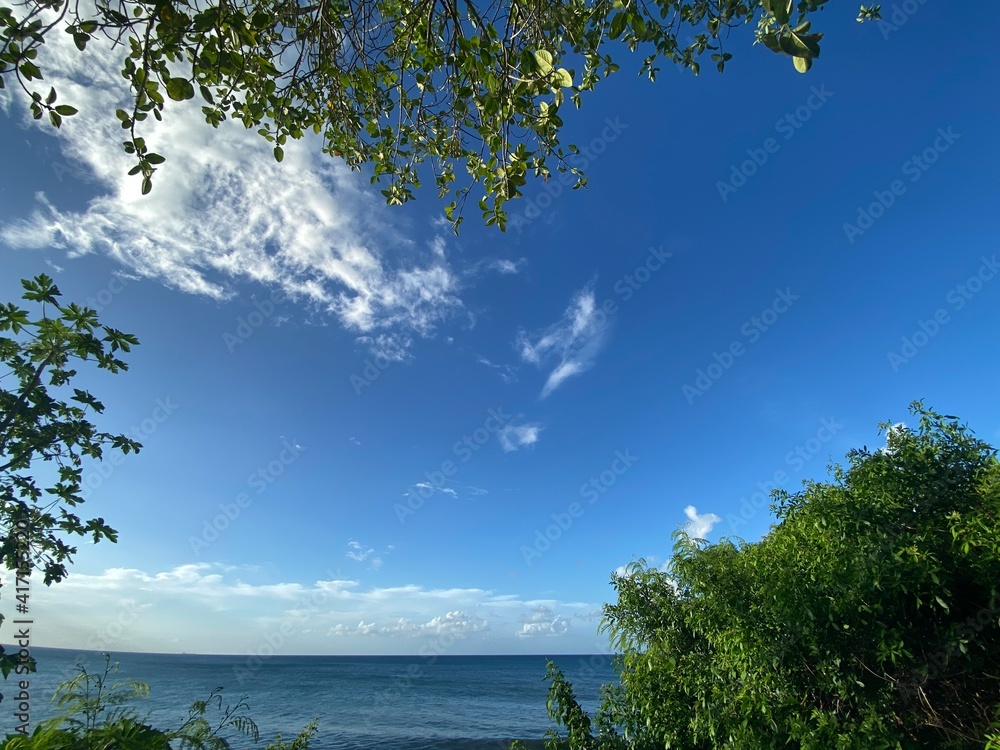 Beautiful blue sky with white clouds trees and lot of space