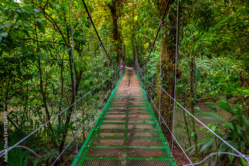 Small green bridge in the jungle cross the river of Tenorio national park Costa Rica. Central America..