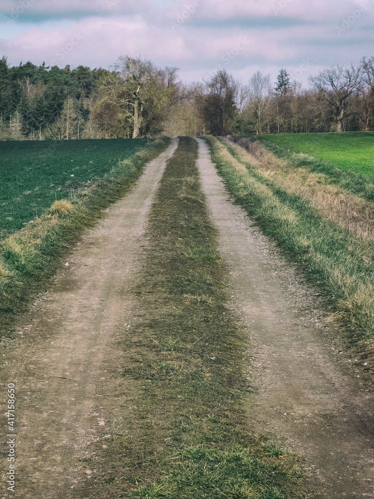 Dirty farm road between green fields