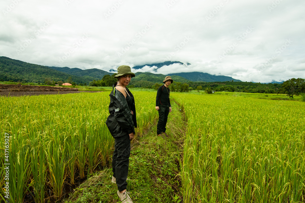 Fototapeta premium The couple in the rice field