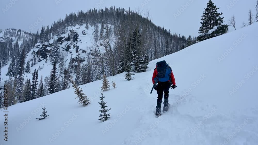 Winter snowshoeing through a scenic landscape Winter snowshoeing through a scenic landscape