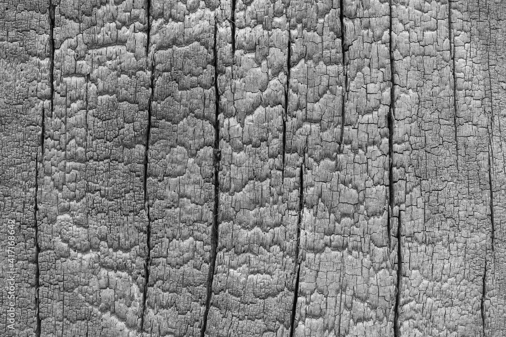 Burnt wood texture. Surface of wood charcoal. Dark background. Burnt wood texture. Surface of wood charcoal. Dark background.