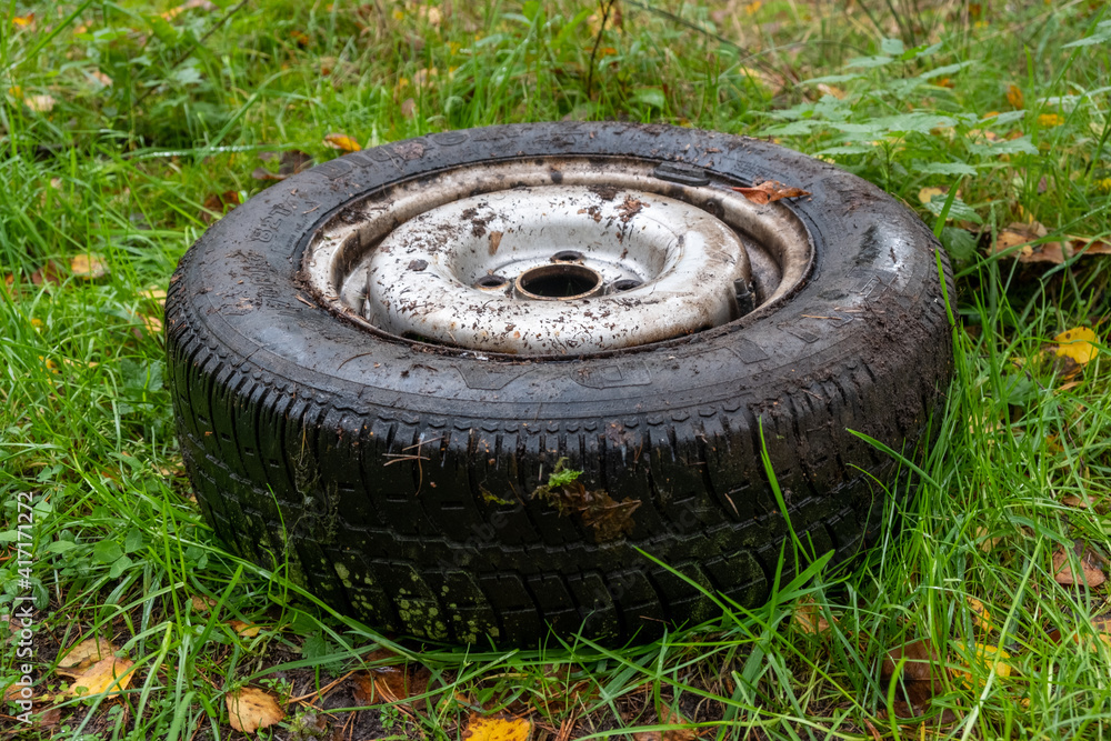 alter Reifen Wald