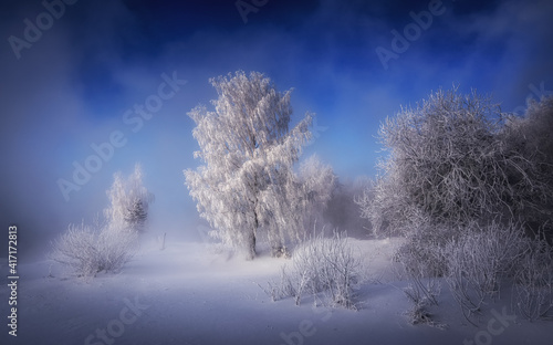 Winter morning at the Reftinsky reservoir with a snow-covered forest on the shore, Russia, Ural in February © 7ynp100
