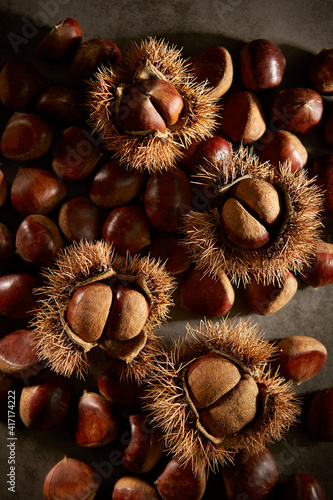 chestnut bur and fresh chestnuts