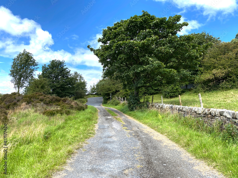 Country road near, Whalley Lane, with dry stone walls, fields and trees near, Denholme, Bradford, UK