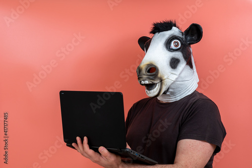 person disguised as a cow mask using a laptop computer