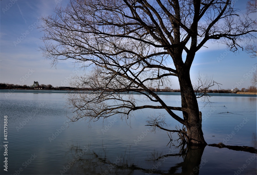 Kronthaler Weiher