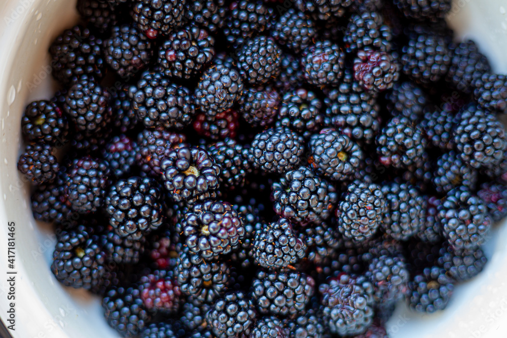 Blackberry. Black berries close-up. Food on a plate.. Black berries close-up. Food on a plate Blackberry. Black berries close-up. Food on a plate.. Black berries close-up. Food on a plate
