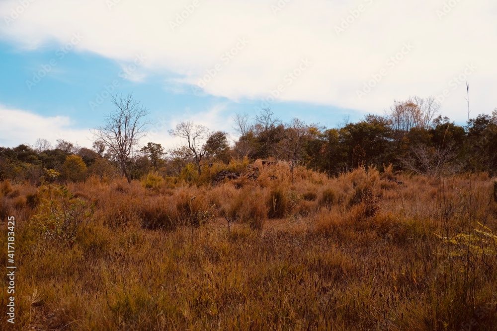 autumn in the mountains