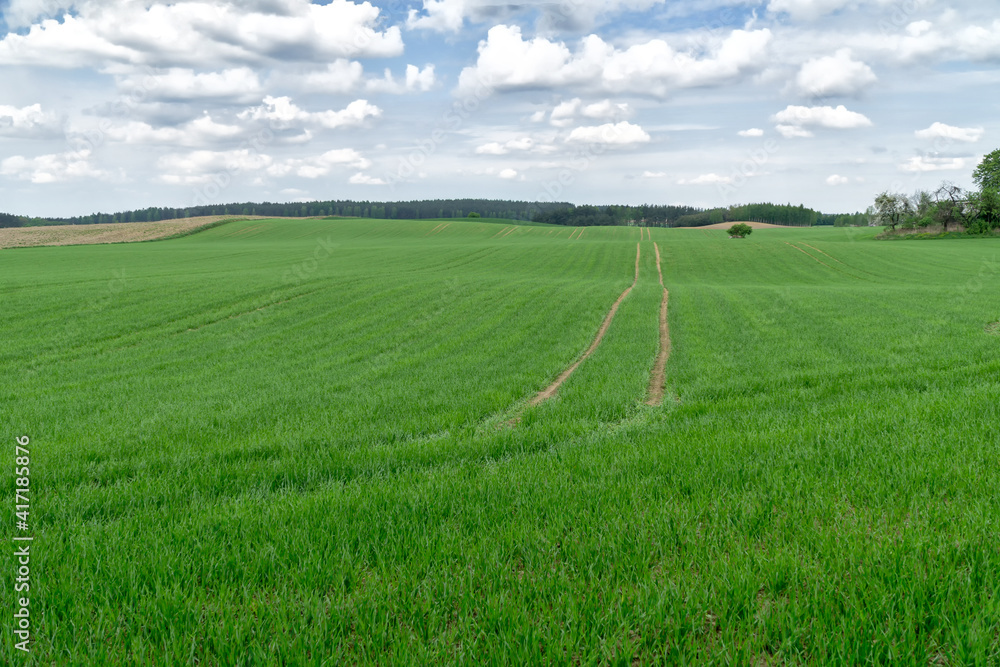 Green farmland In spring with blue sky and white clouds. Hilly terrain. Agricultural background. Green farmland In spring with blue sky and white clouds. Hilly terrain. Agricultural background.