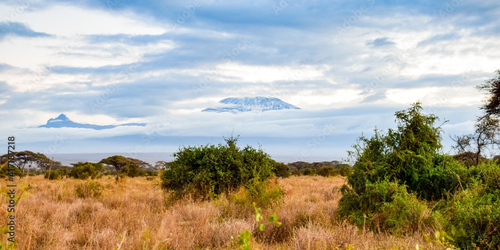 view of kilimandjaro mount behind the clouds view of kilimandjaro mount behind the clouds