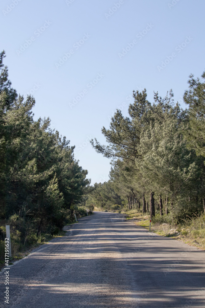 a narrow country road surrounded by trees. The concept of traveling and going away