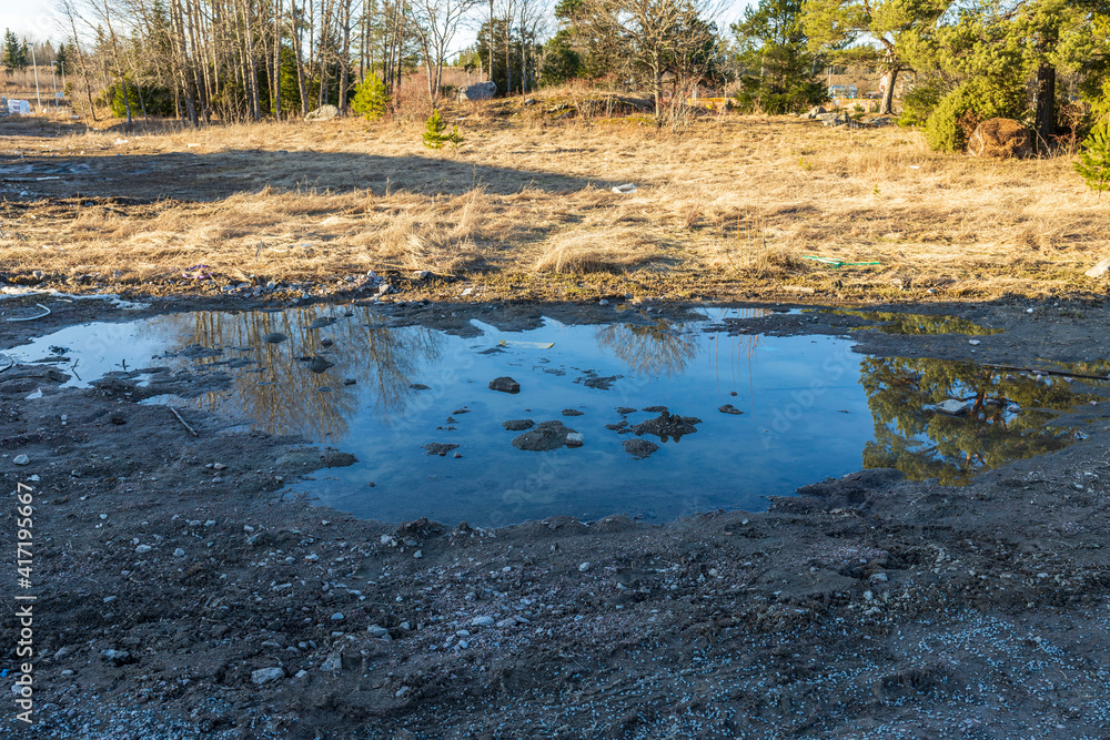 Spring nature landscape view. Forest trees reflection in puddle and yellow lawn grass. Spring nature landscape view. Forest trees reflection in puddle and yellow lawn grass.