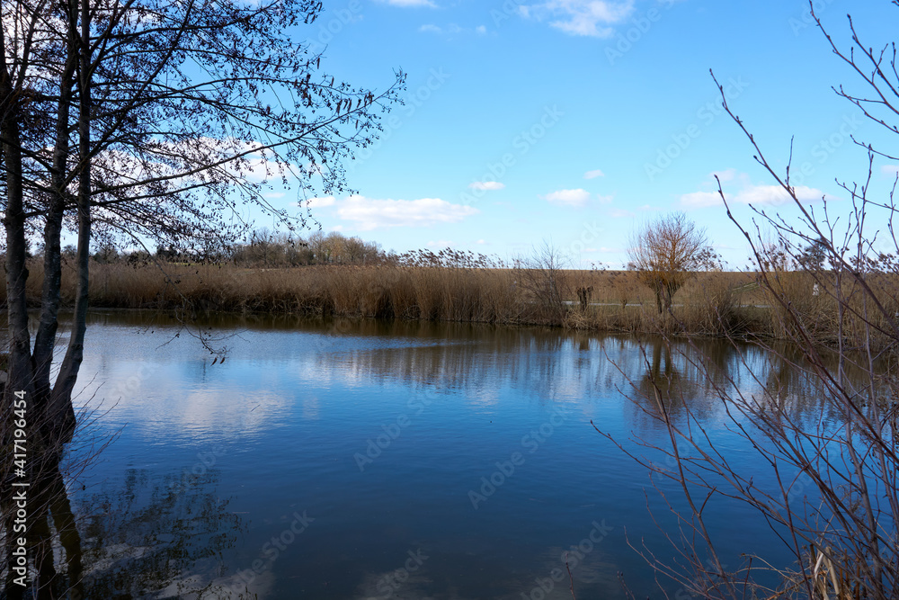 quiet river landscape with trees under a blue sky quiet river landscape with trees under a blue sky