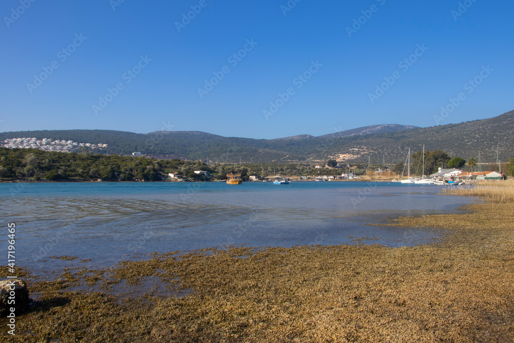Sea grasses, boats and a beautiful bay view with  buildings, hills and trees