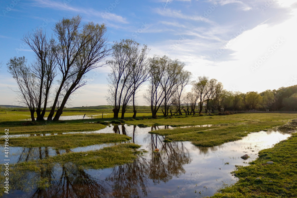 landscape with lake and trees landscape with lake and trees