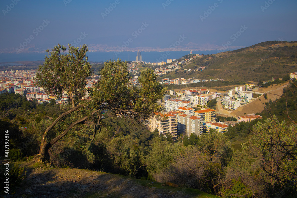 Sea, buildings and hill seen from behind the single tree. Landscape mode