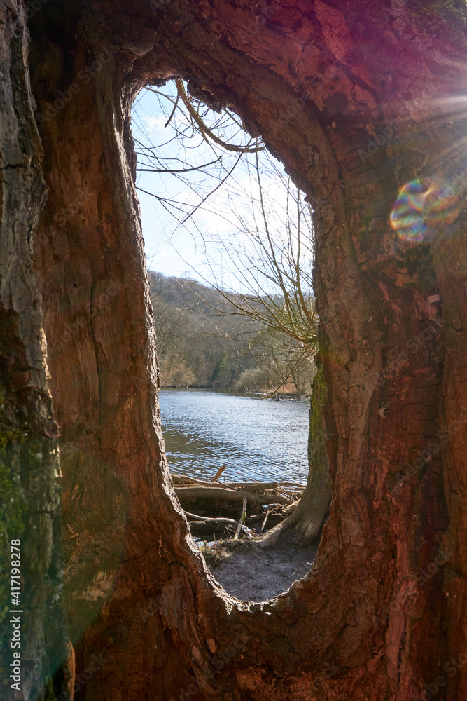 Fototapeta premium view through a hollow tree to a lake