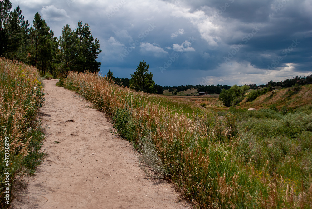 Fototapeta premium path in the mountains