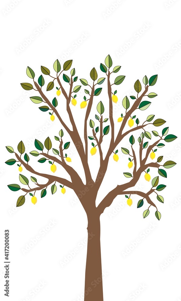 Obraz premium Árbol limonero.