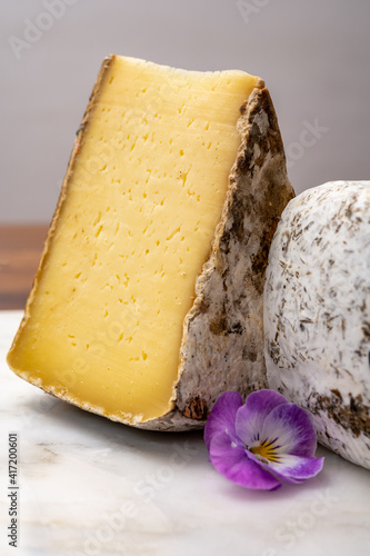 Cheese collection, Tomme de Savoie cheese from Savoy region in French Alps,  mild cow's milk cheese with beige interior and thick brownish-grey rind photo