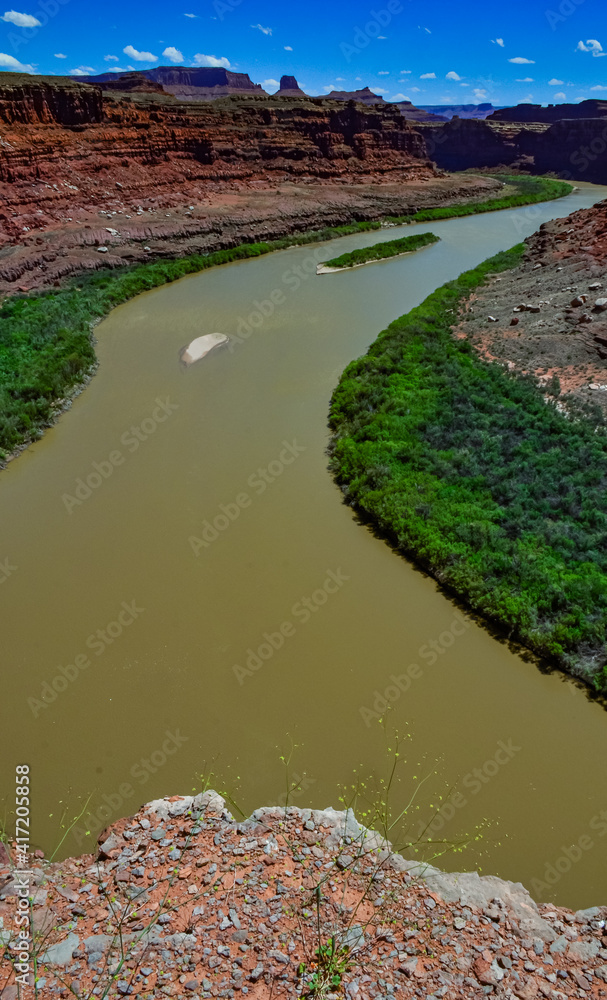 Boat on the water, the Colorado River bed, overgrown with green vegetation.