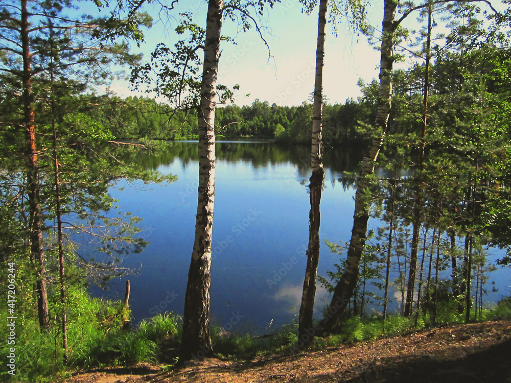 Spring in the forest