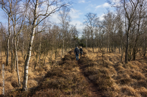 Pfad im Moor