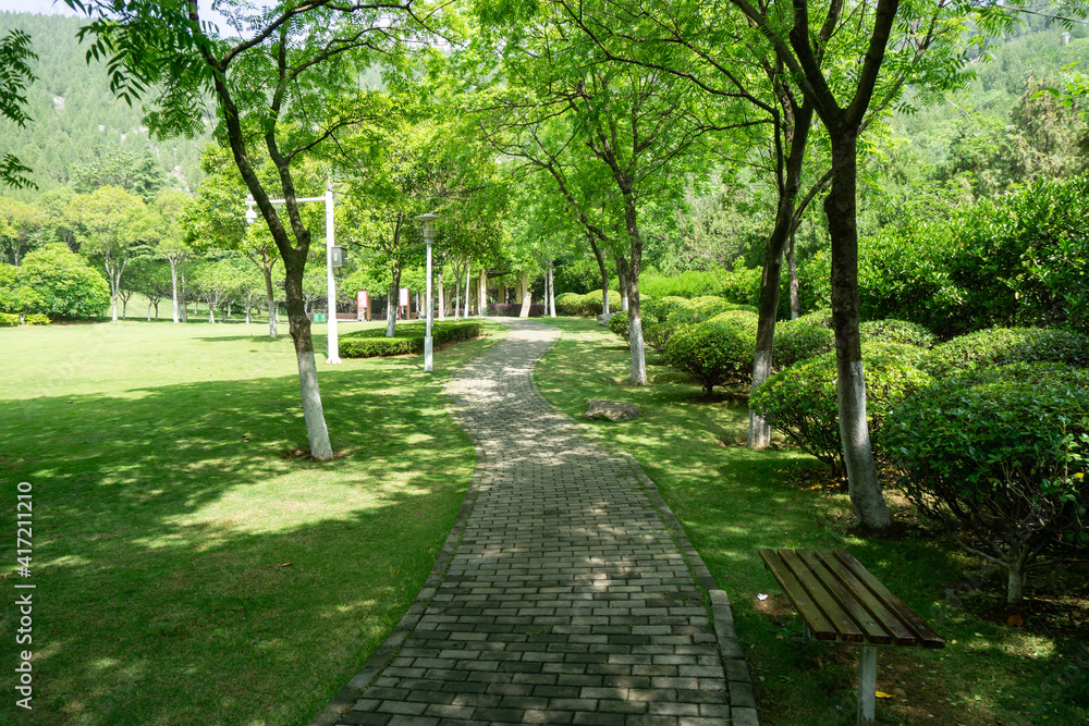 A quiet path in the city park
