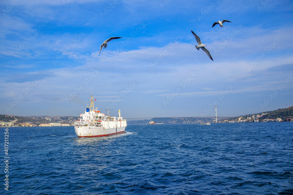 A cargo ship crossing the Bosphorus.