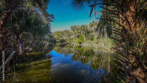 Beautiful and natural Floridian Park
