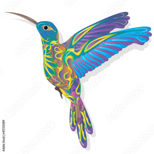 Vector illustration of hummingbird or colibri isolated on white background