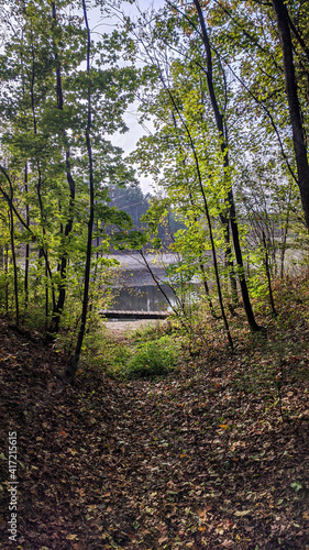 Path to the Teteriv river that is hidden behind tall green trees.  photo