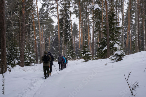 A group of tourists in a winter forest on a cloudy frosty day.