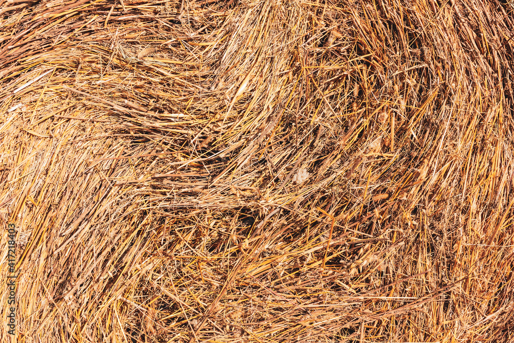 A stack of hay. Dry grass