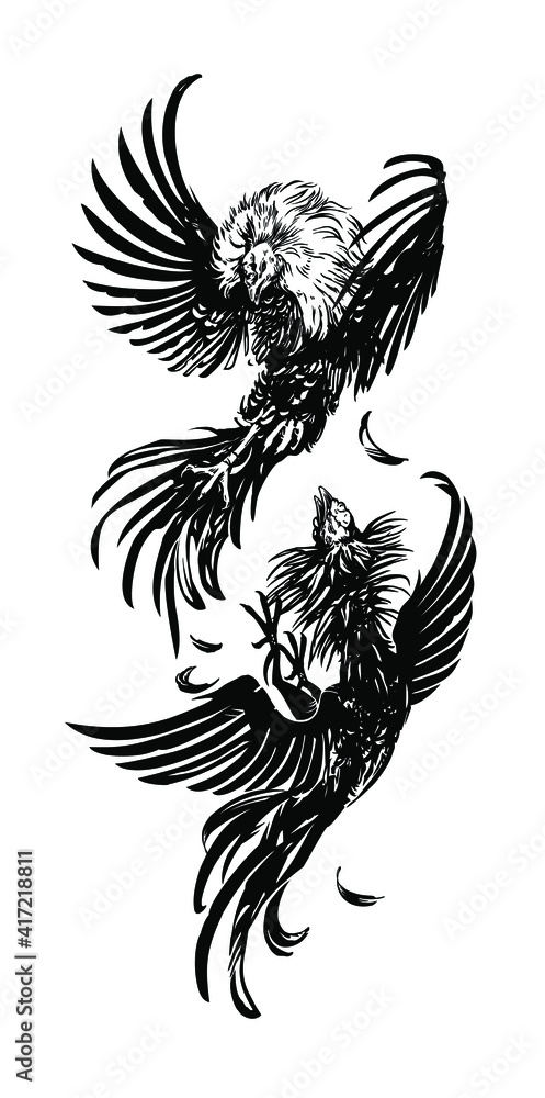Rooster Black And White Vector Image Cocks Fighting Rooster Cockfight Attack Fighter