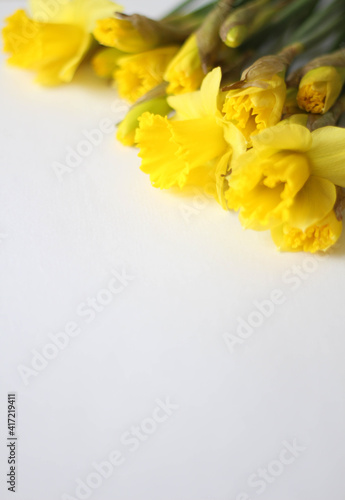 Beautiful bouquet of yellow daffodils flowers isolated on white background. Flat lay, top view. Spring flowers. Gift cards design idea