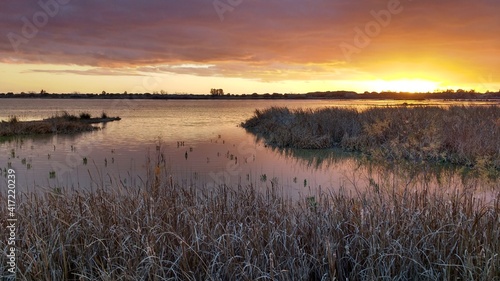 Marsh Madre de las Marismas de El Rocío, Doñana National Park, Almonte, Huelva province, Spain 