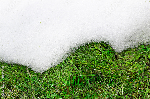 Foto top view: green spring grass appeared from under the snow