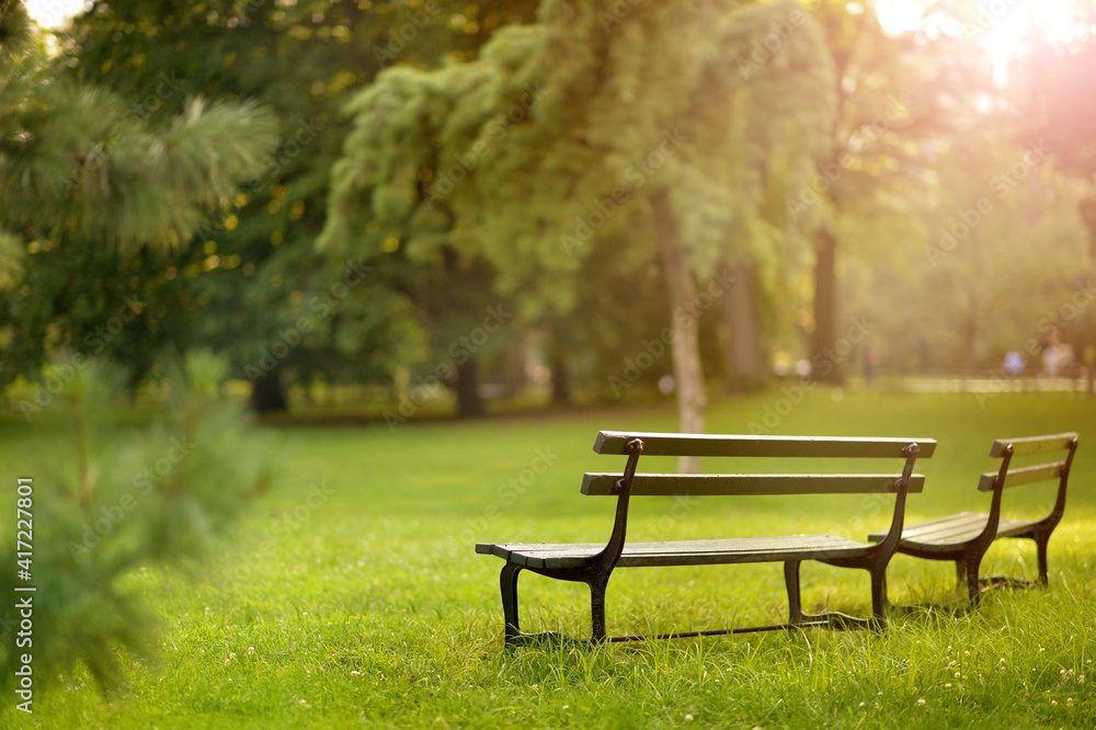 wooden benches in beautiful park, in summer wooden benches in beautiful park, in summer