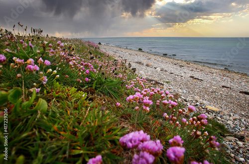 Obraz na płótnie Pebble Beach at Samso Island, Denmark, Europe. w salonie