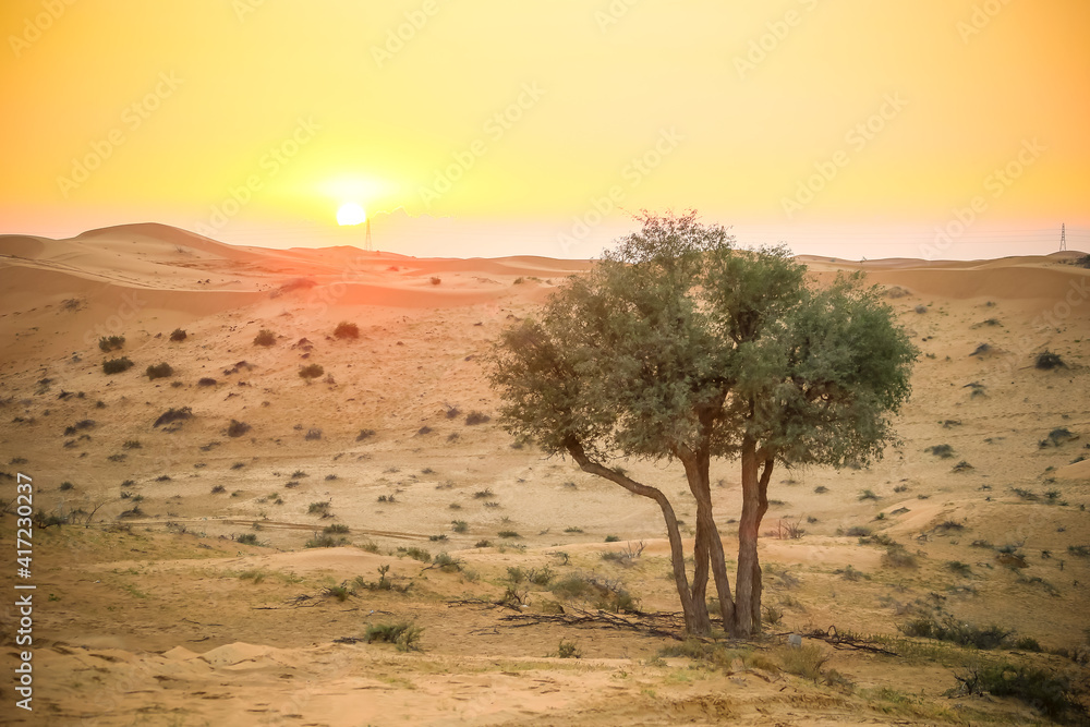 The Desert in Ras al Khaimah, United Arab Emirates, Asia