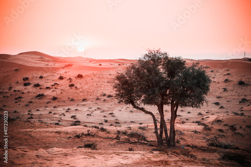 The Desert in Ras al Khaimah, United Arab Emirates, Asia photo